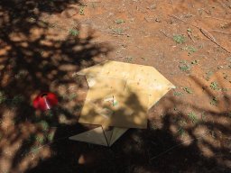 Salomon Senekal Viljoenskron